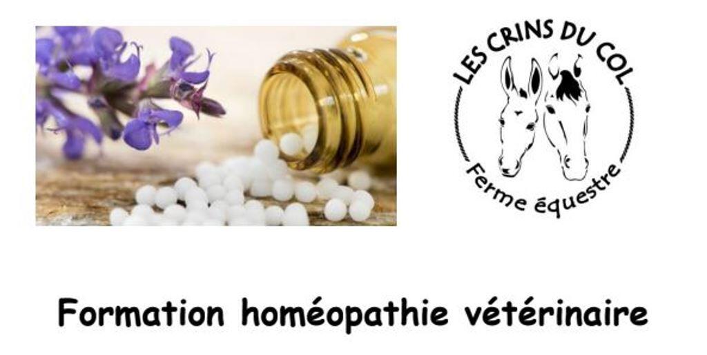 formation-homeopathie-veterinaire