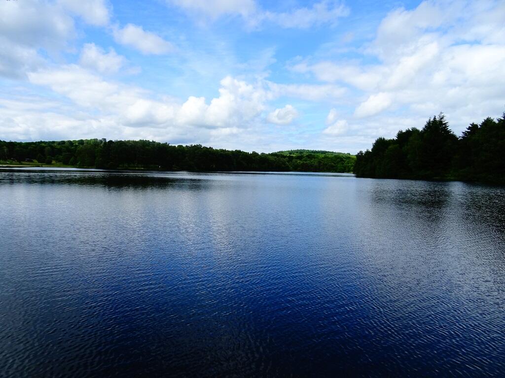 lac de miel