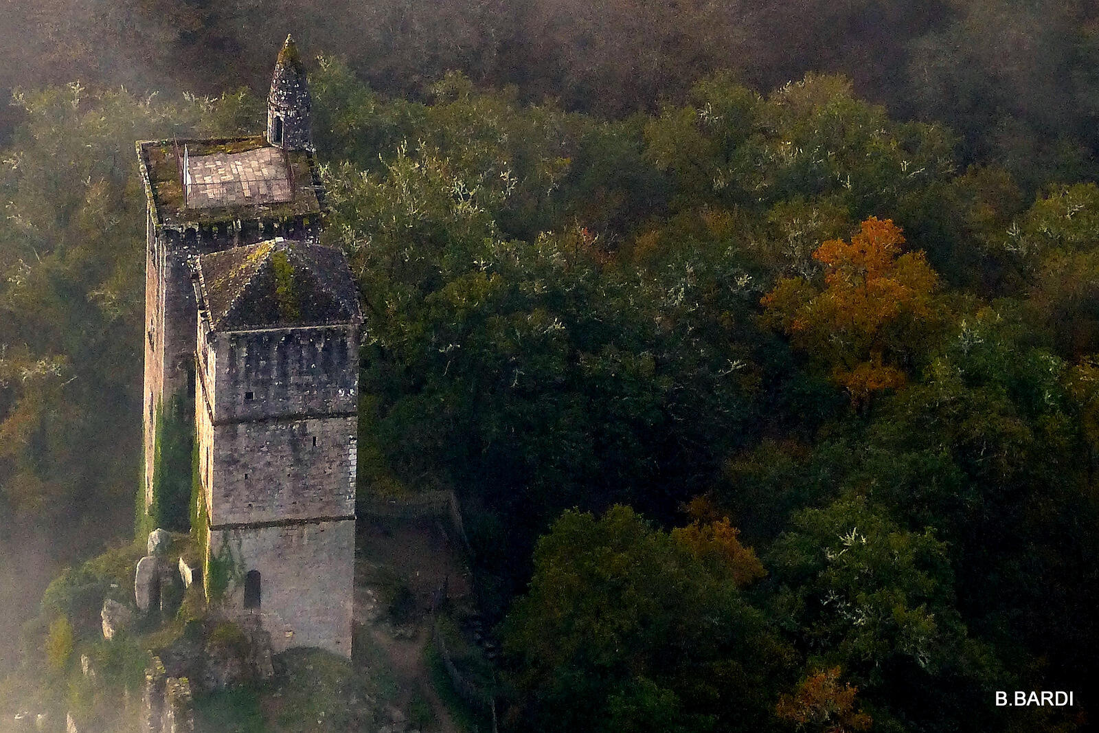 les deux tours de merle vue montgolfiere