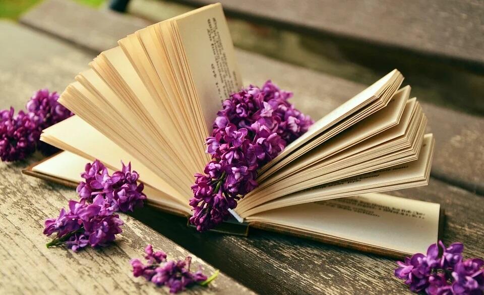 litterature