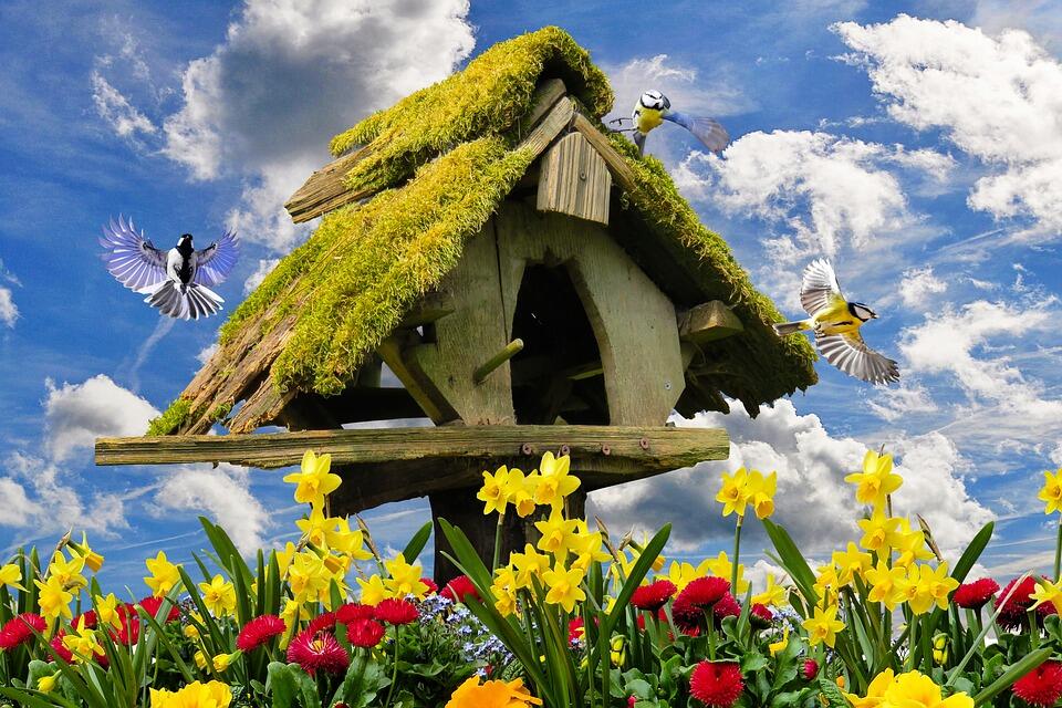 nature-3265530_960_720