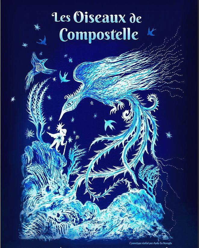 oiseaux de compostelle