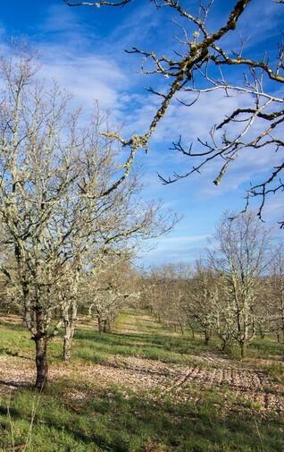 ok visite 6 juillet - Gintrac© Lot Tourisme - C. Novello