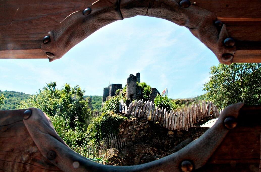 photo tours de merle Michel Boyer