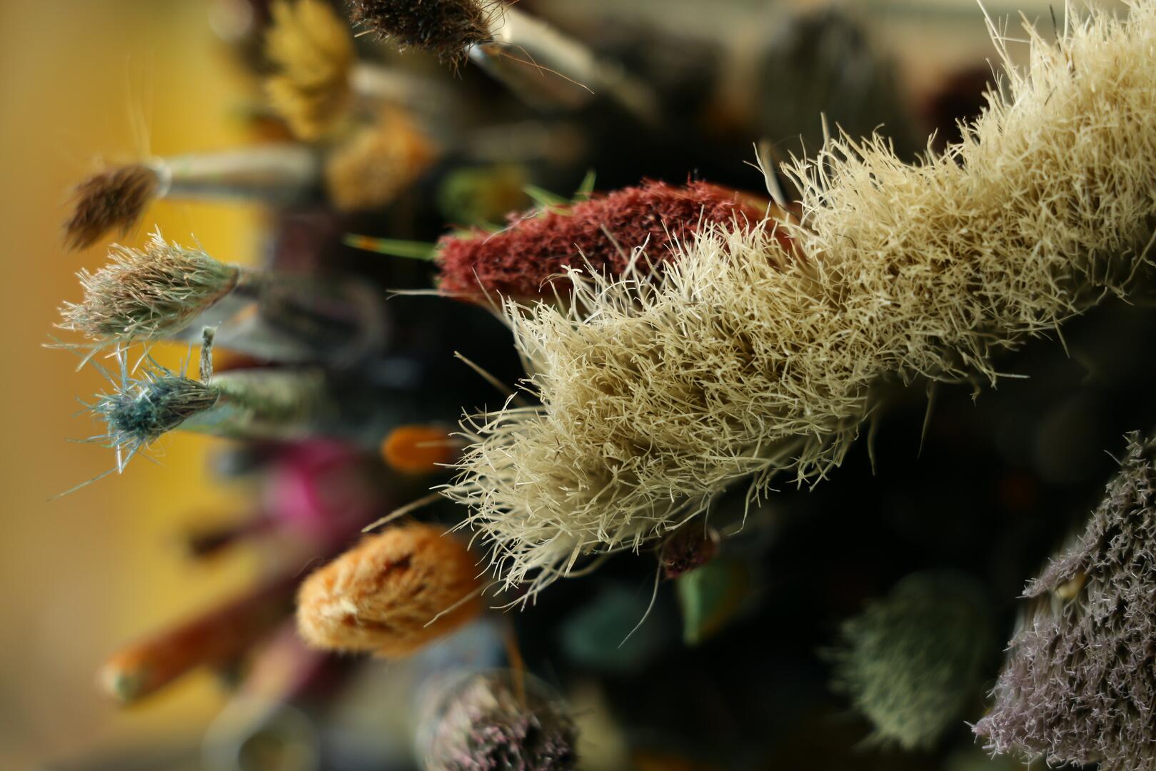 pierre-bamin-WSyikLUK2_s-unsplash