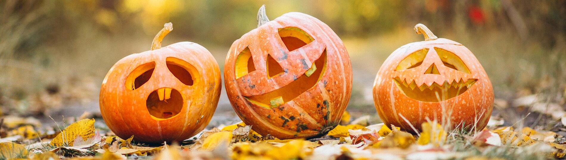 pumpkin-ga7255c051_1920