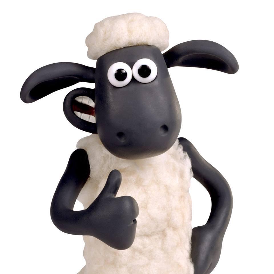 shaun-portrait