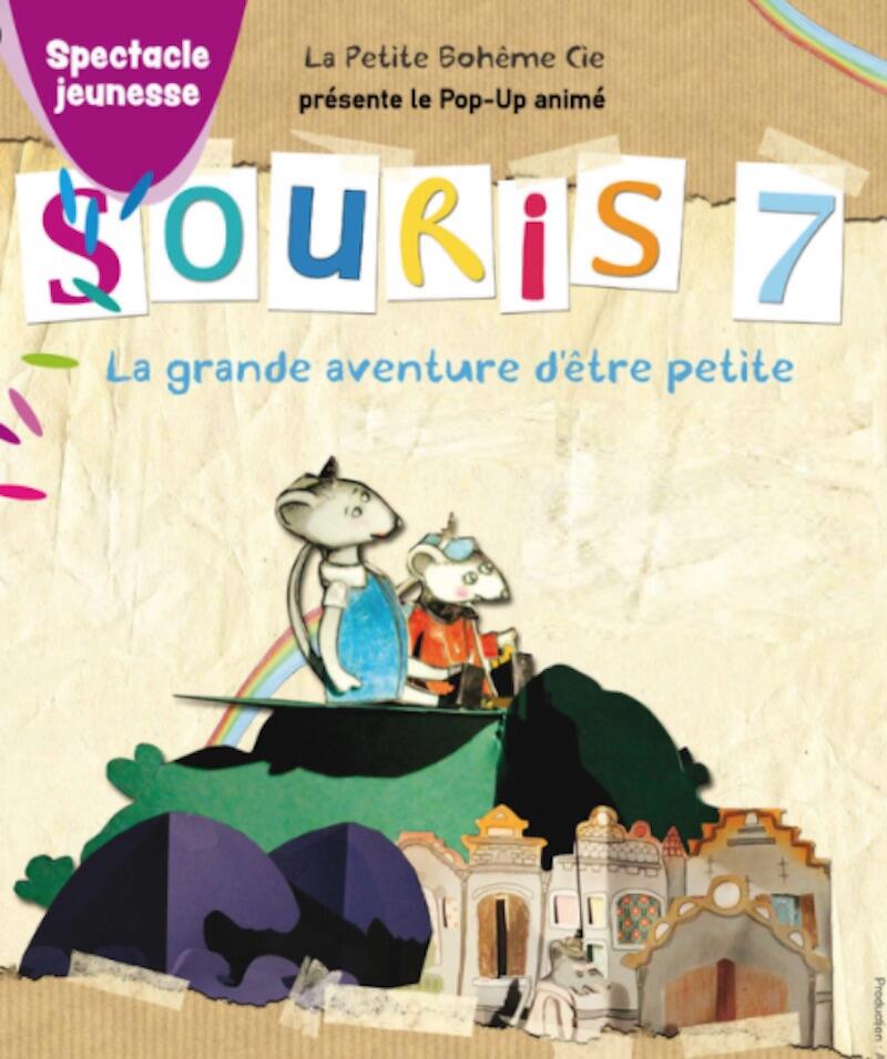 souris 7