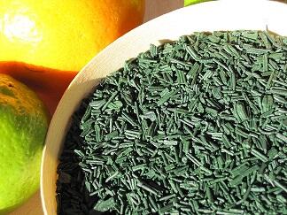 spiruline-tresor