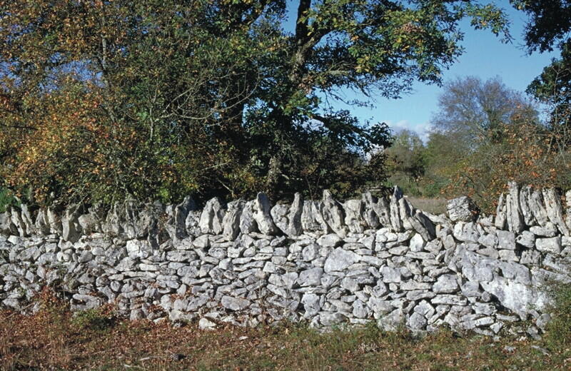 Circuit Entre Géologie et Préhistoire