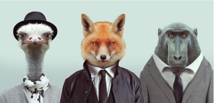 ANIMAL-HOMME-3