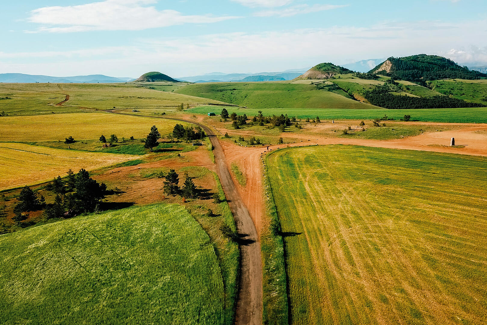 Balade-en-forêt-Cévennes-et--Mont--Lozère