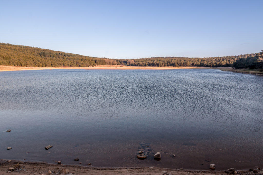 Etang_Barrandon