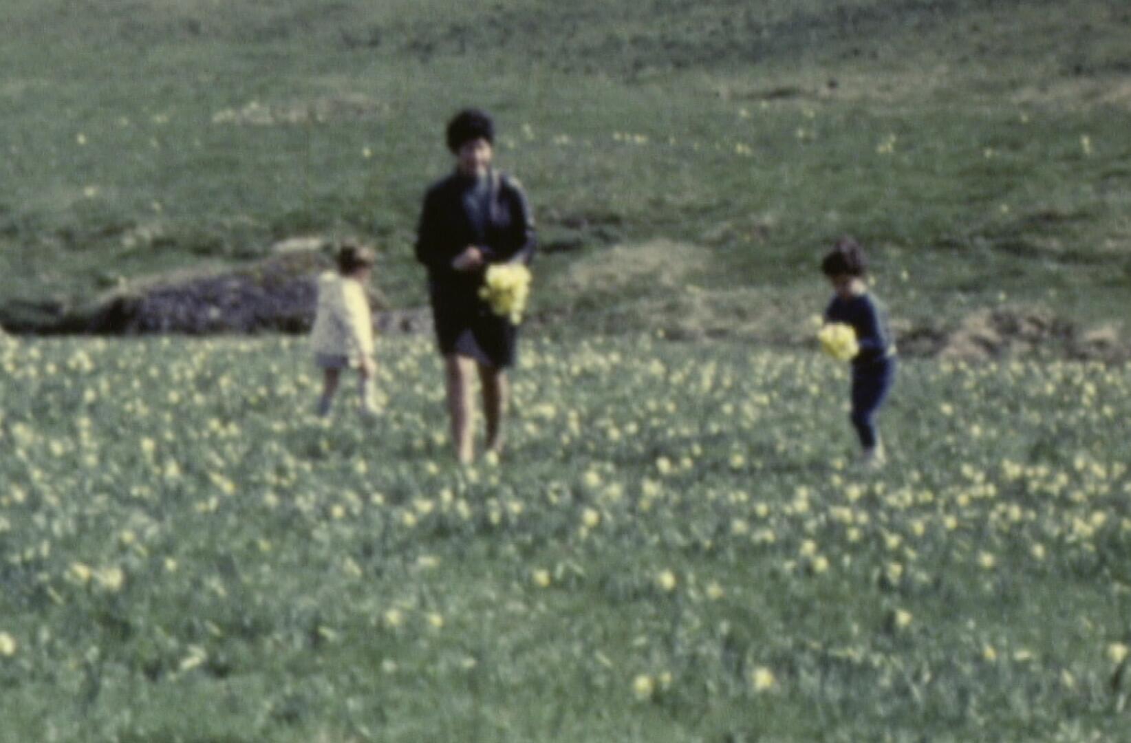 Capture d’écran