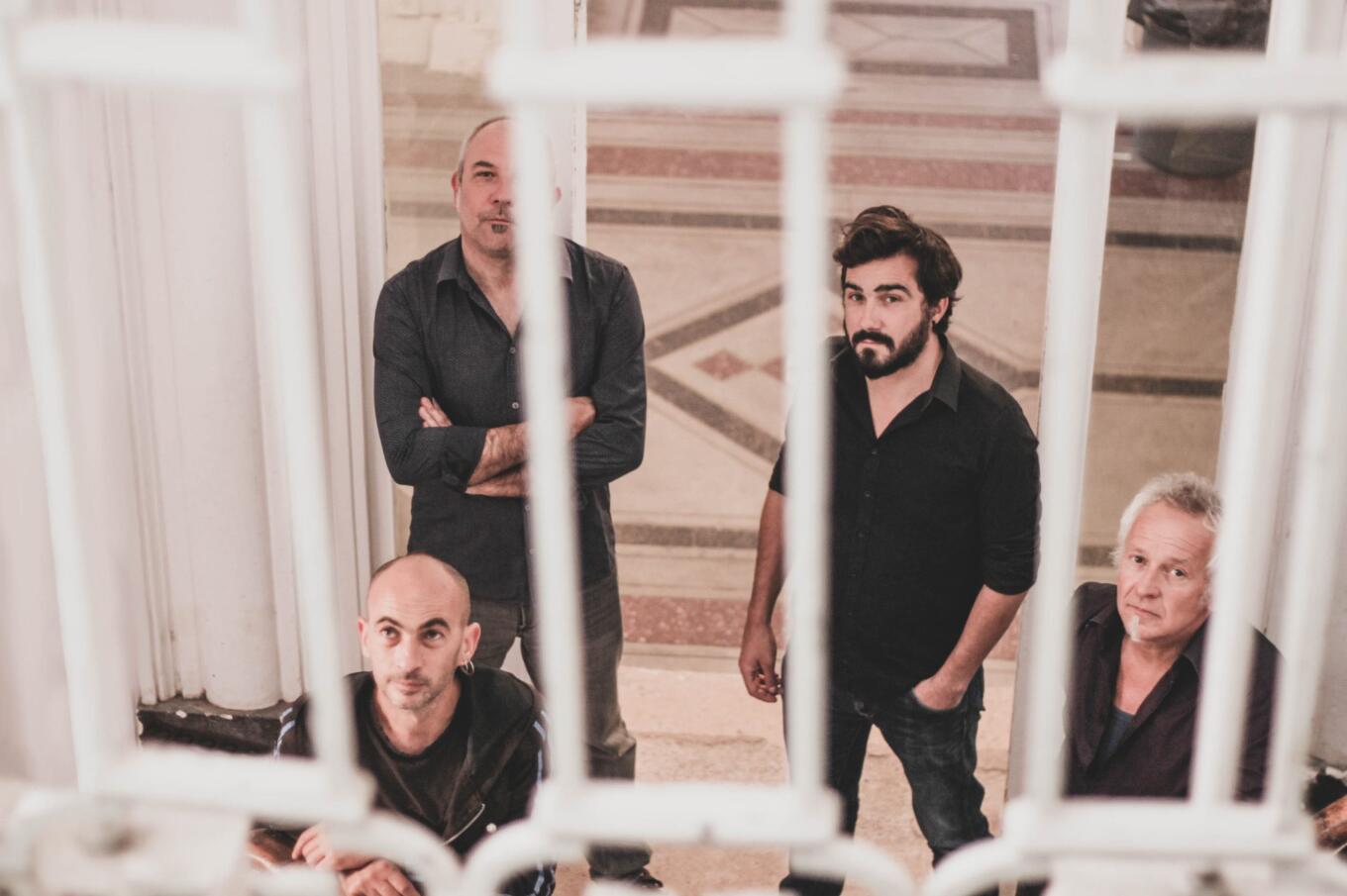 LE TIGRE DES PLATANES