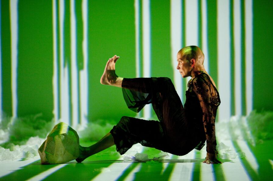 WI*- La Peau des Arbres