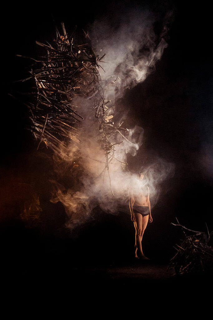 FORET - franck vigroux