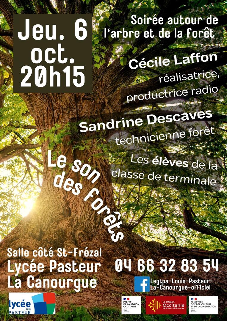 Le son des forêts