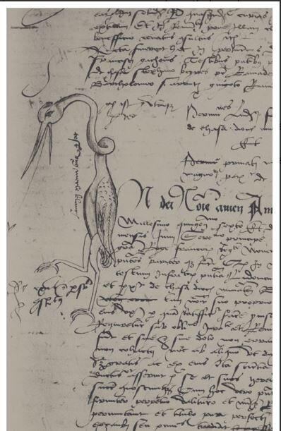 PALEOGRAPHIE