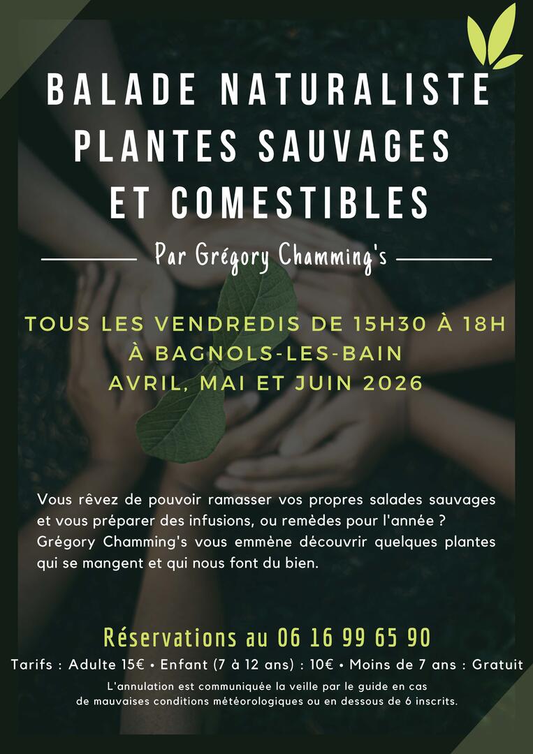 Plantes comestibles avril - mai - juin 2026