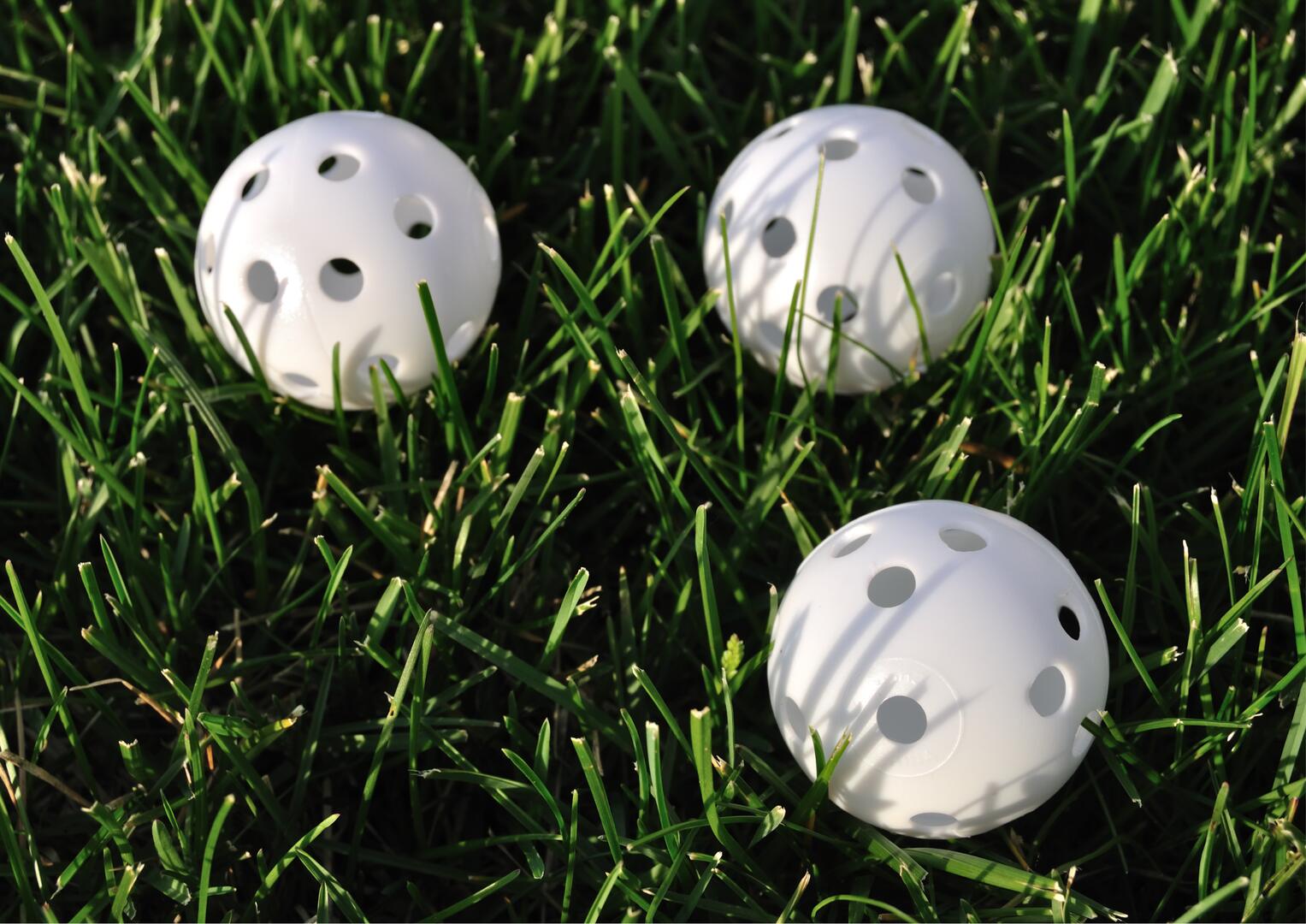 Wiffle Ball