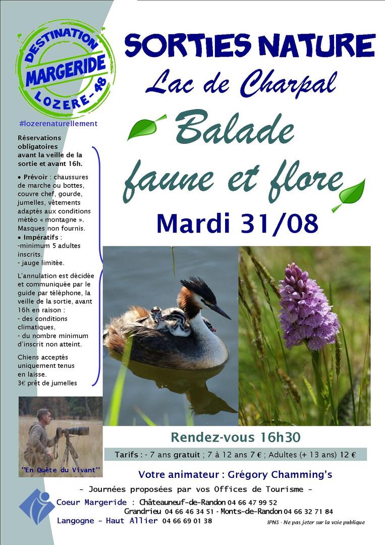 Sorties-Nature-Gregory-BaladeFauneetFlore-Charpal-31-08
