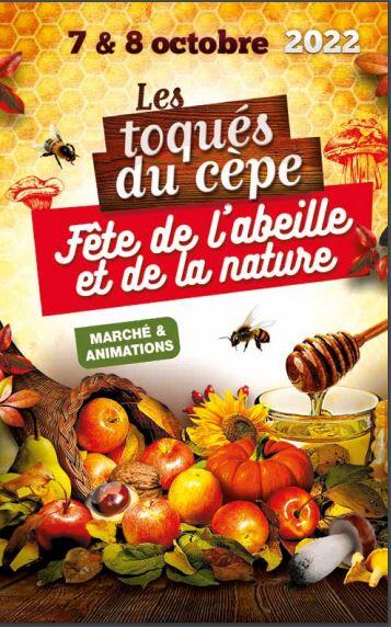 TOQUES..