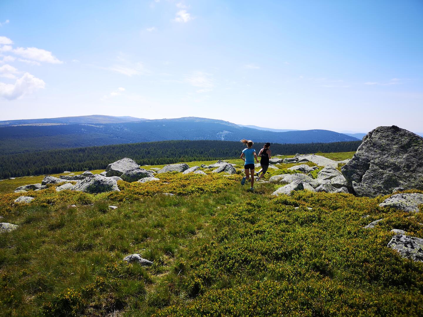 Mont-Lozère