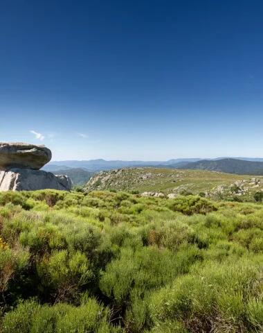 montlozere-380x480-f50_50