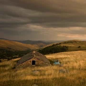 bondons-2-360x360-crop-1641829311