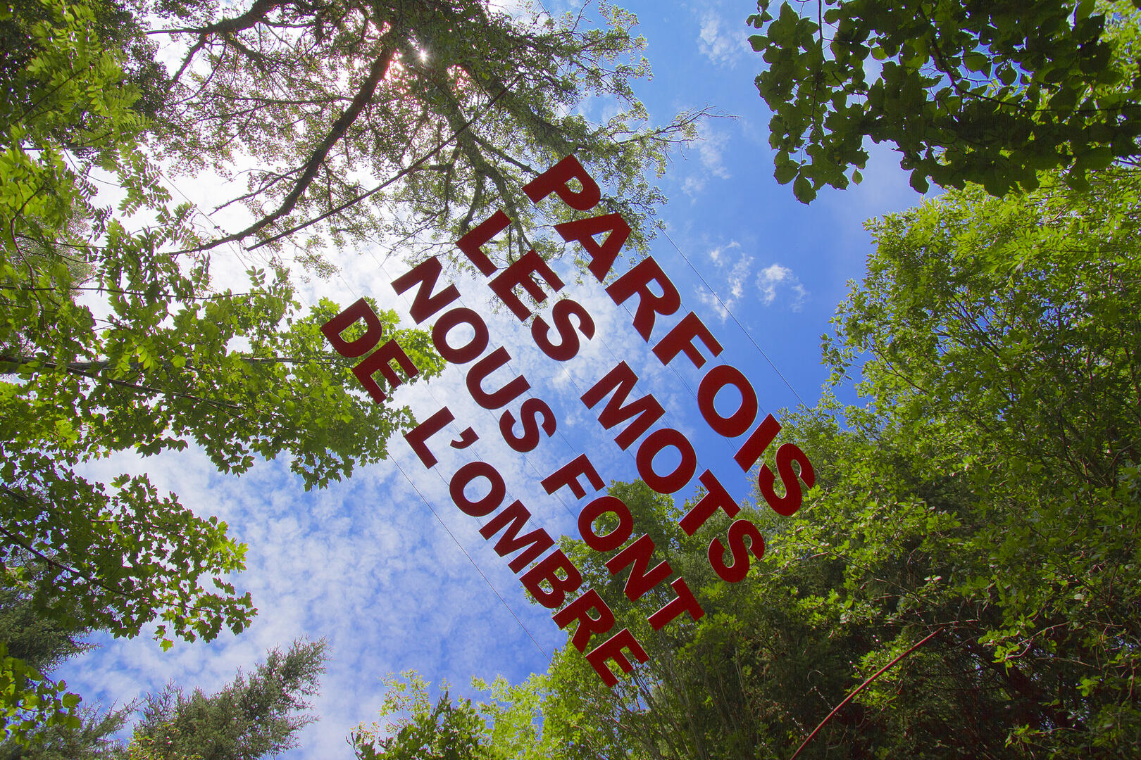 caron parfois les mots copie