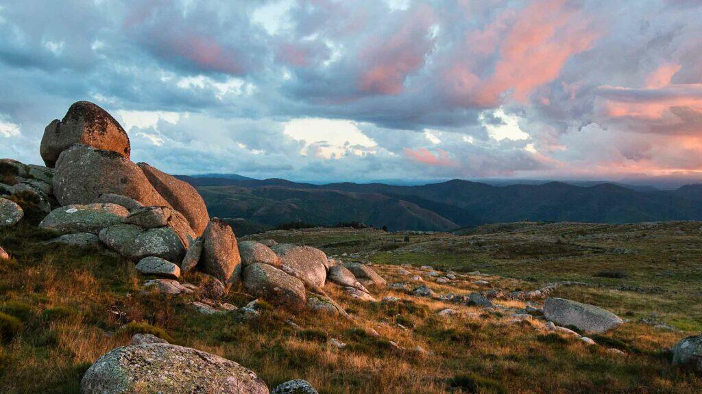 Paysage