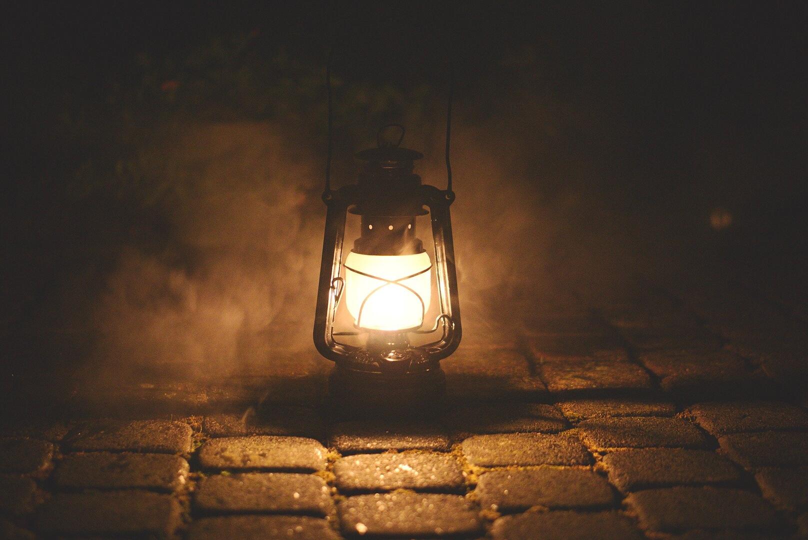 rendez-vous nocturnes estivaux