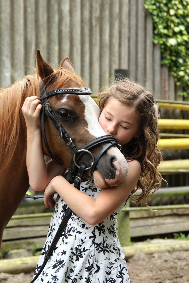 Stage_Poney