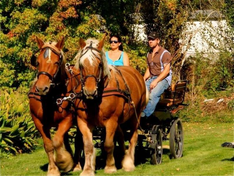 Au Trot'Mant - tourinsoft