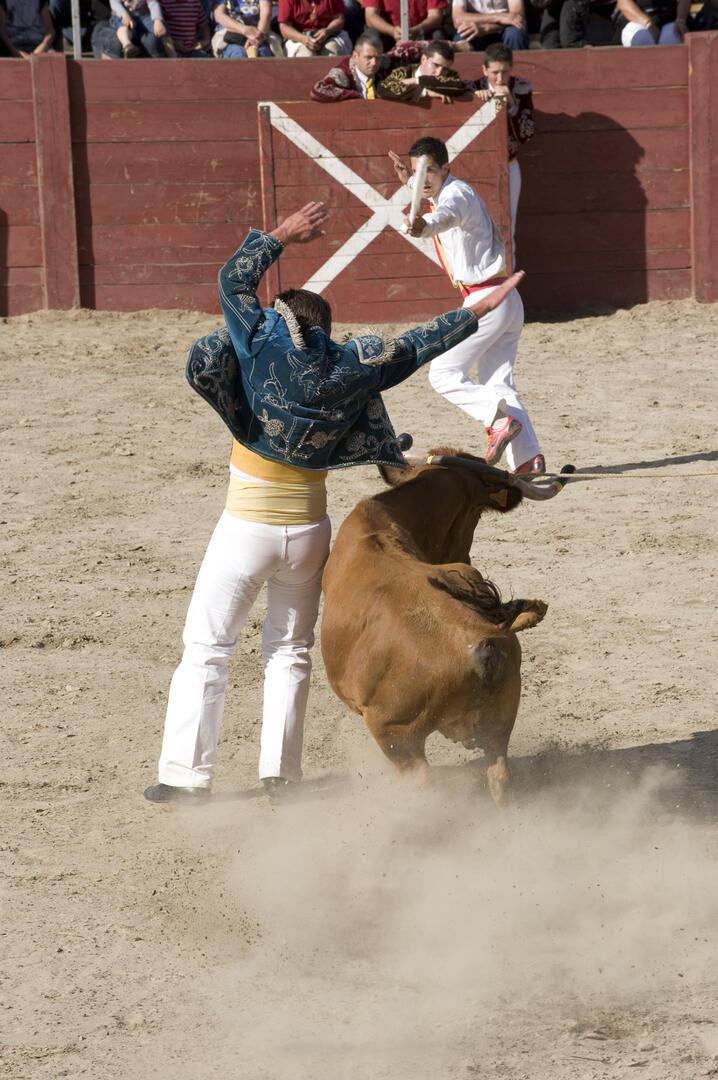 Course Landaise