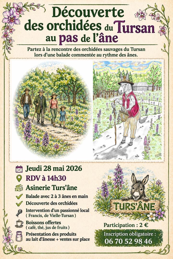 Affiche Turs'Ane