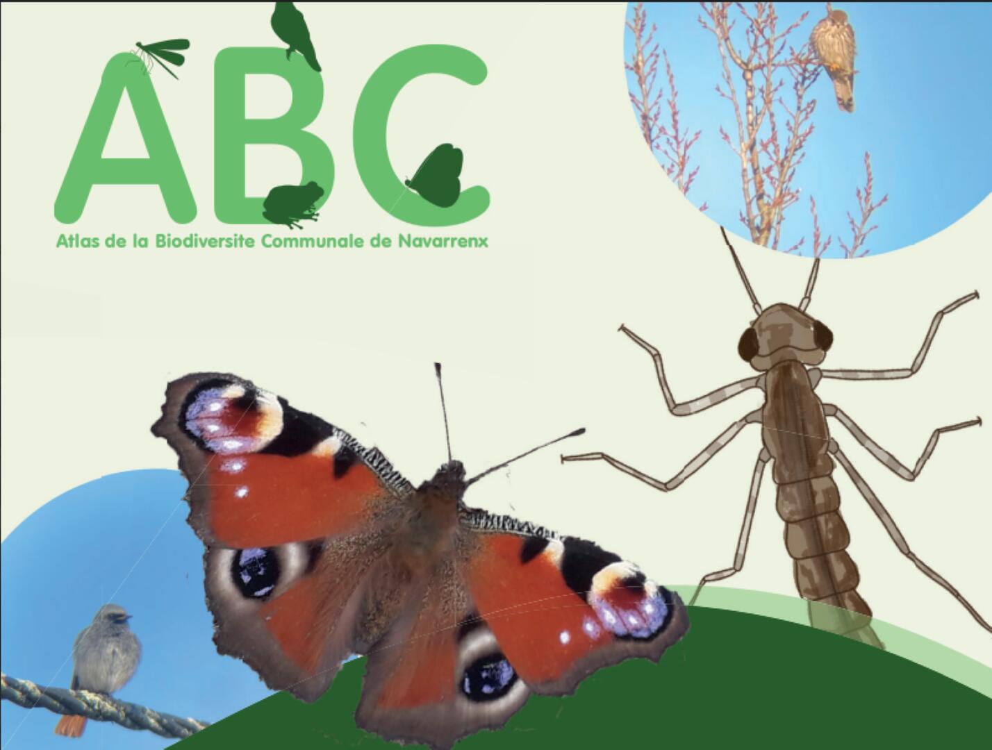 Atlas de la Biodiversité Communale