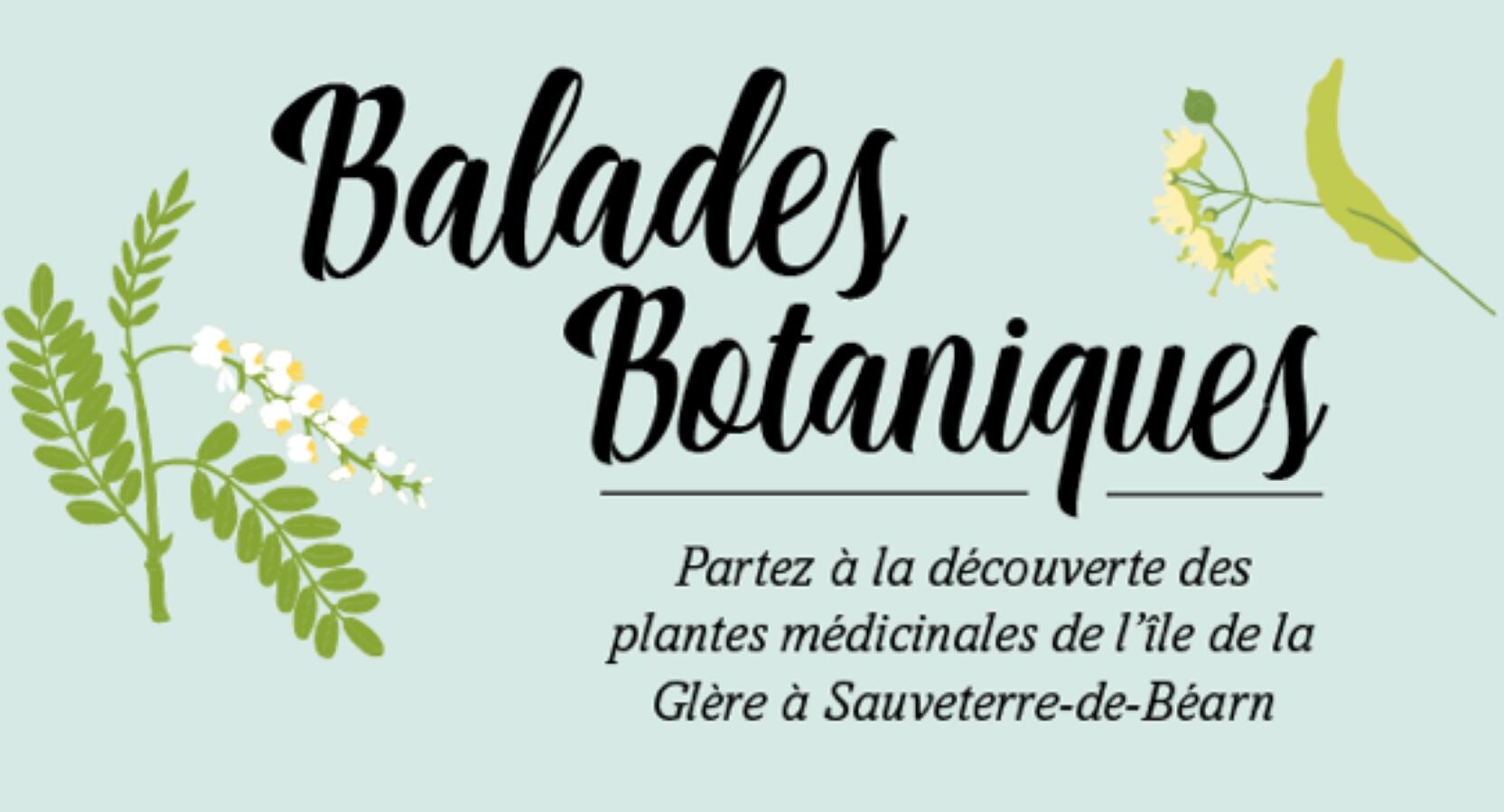 Balades botaniques