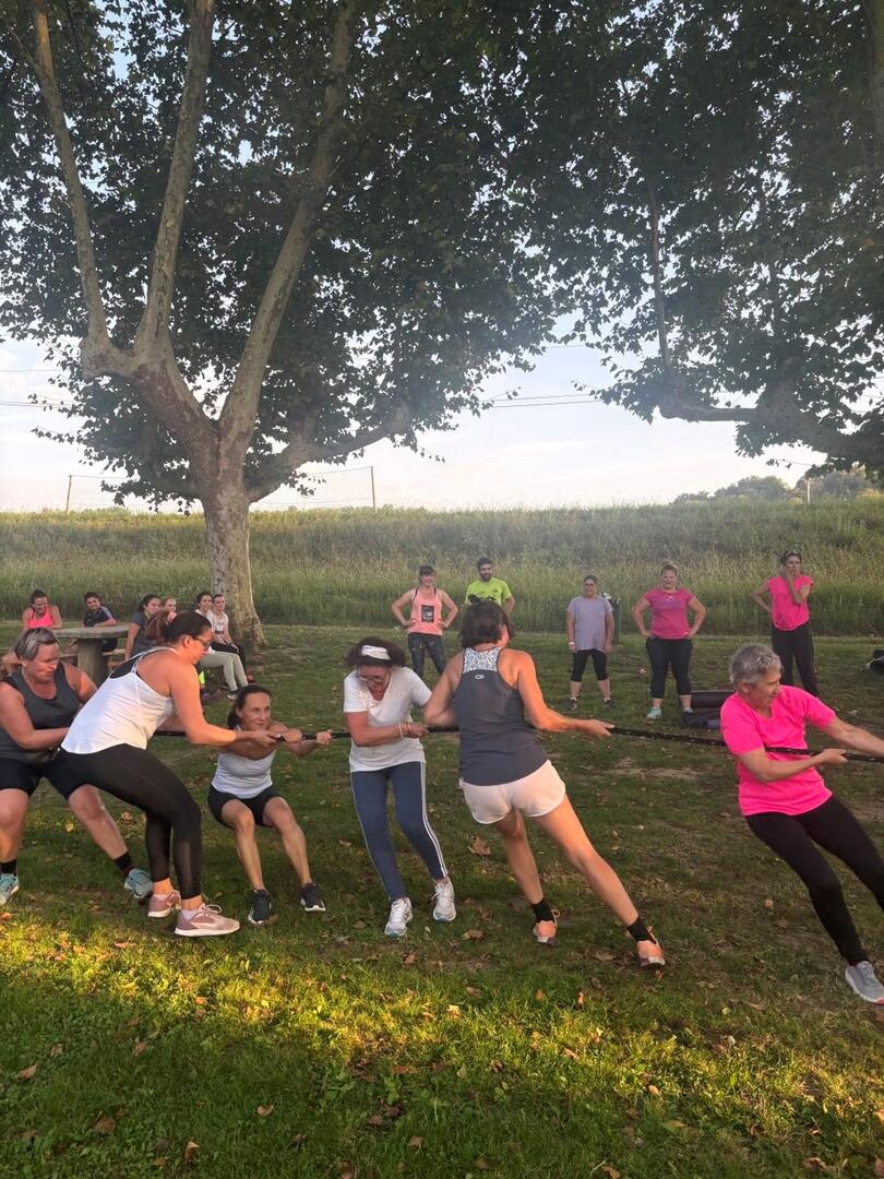 Circuit training