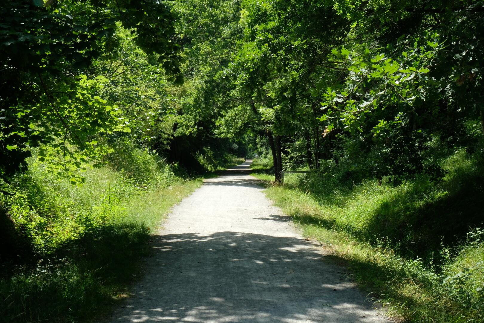 Allée Verte