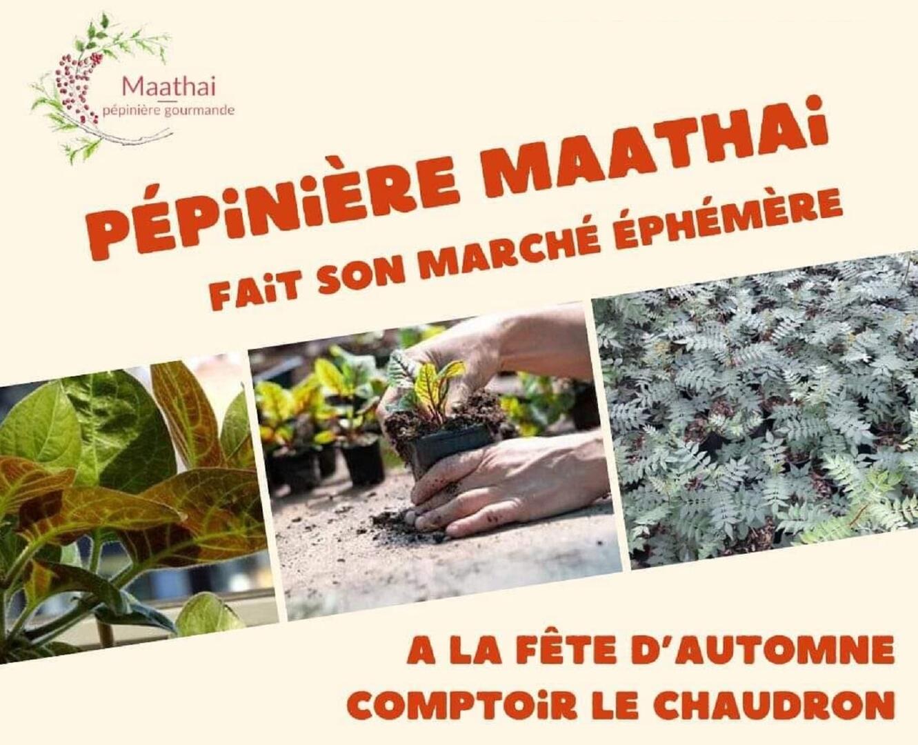 Fête d'automne