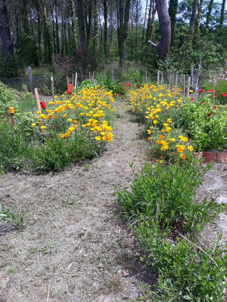 LEON - Jardin de NouinesTS