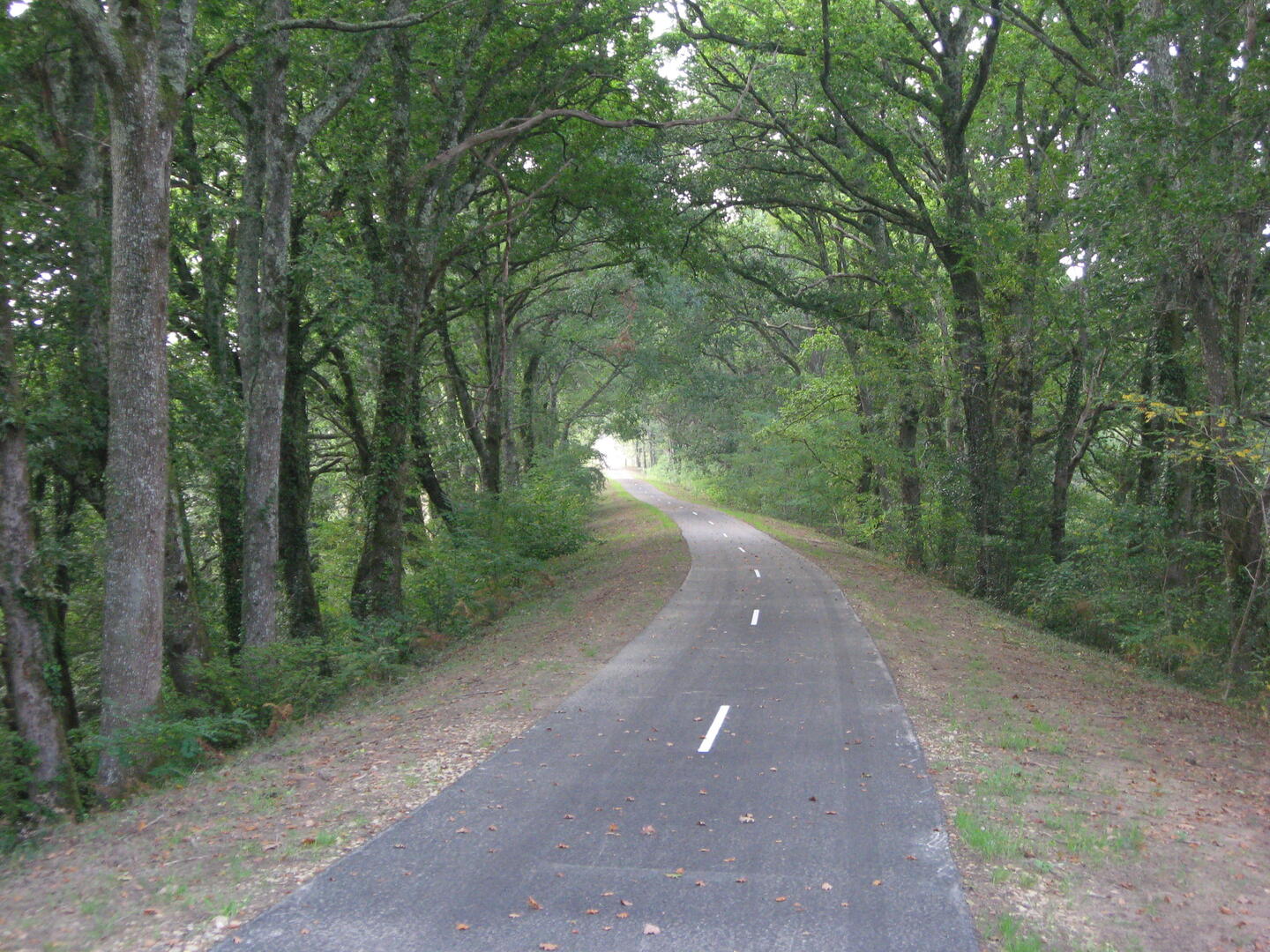 PRADET Marynette - LEVIGNACQ - Piste cyclable