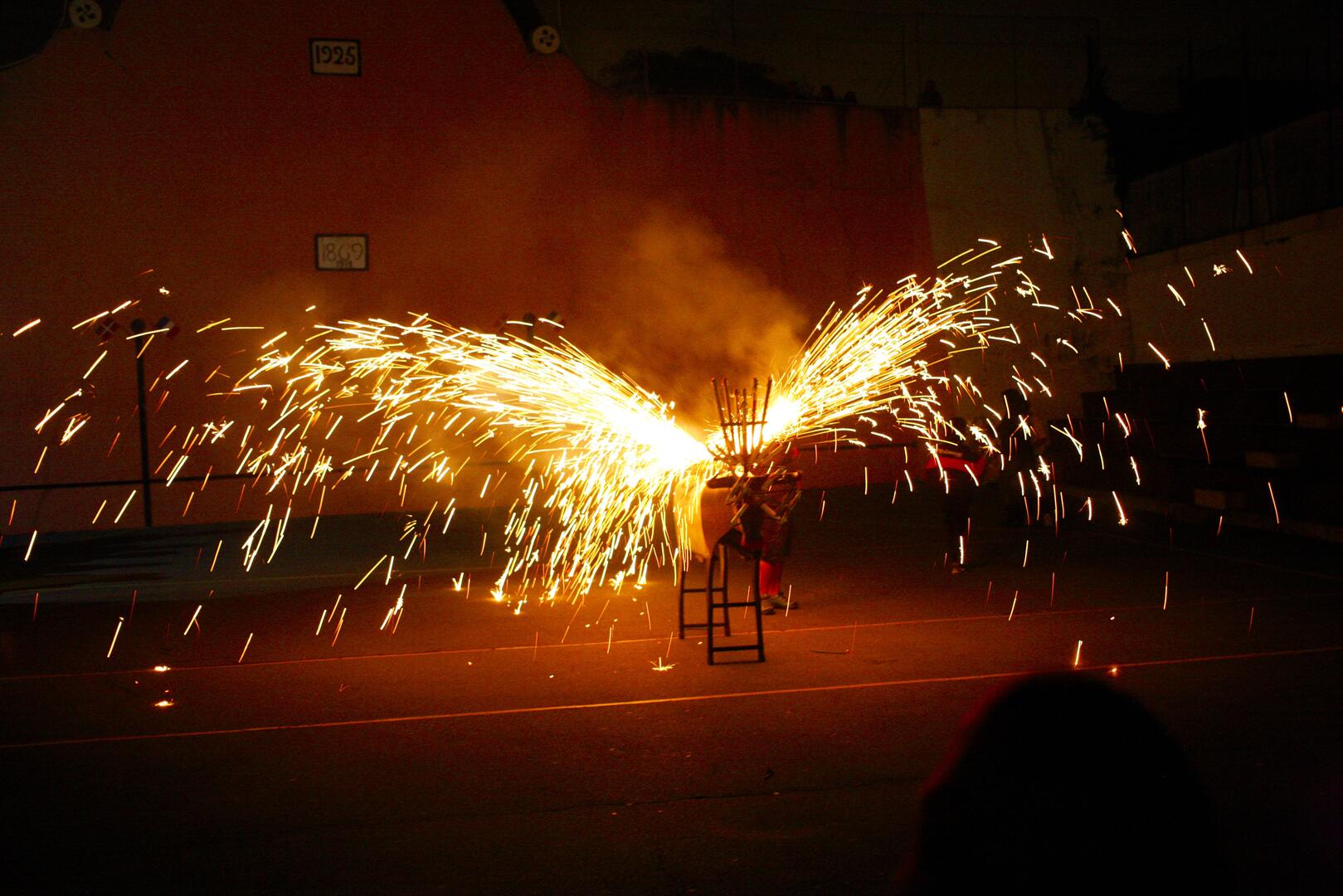 Toro-de-Fuego (2)