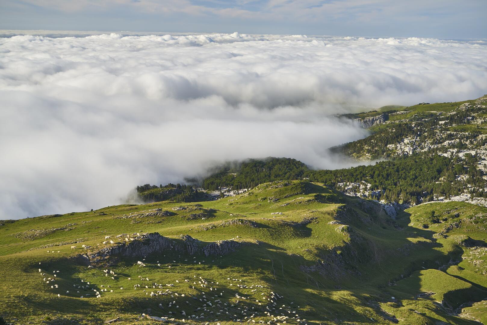 Vue de la station - LA PIERRE SAINT-MARTIN
