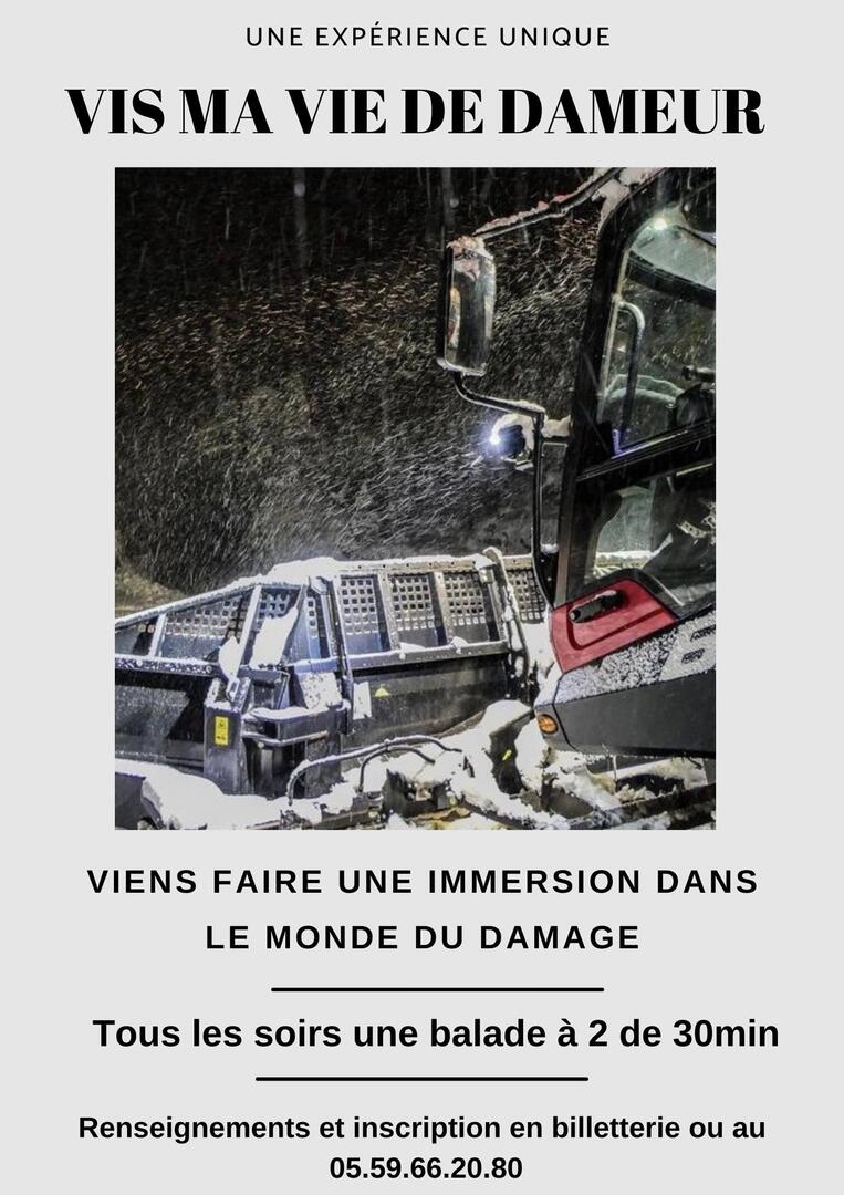 Vis ma mie de dameur