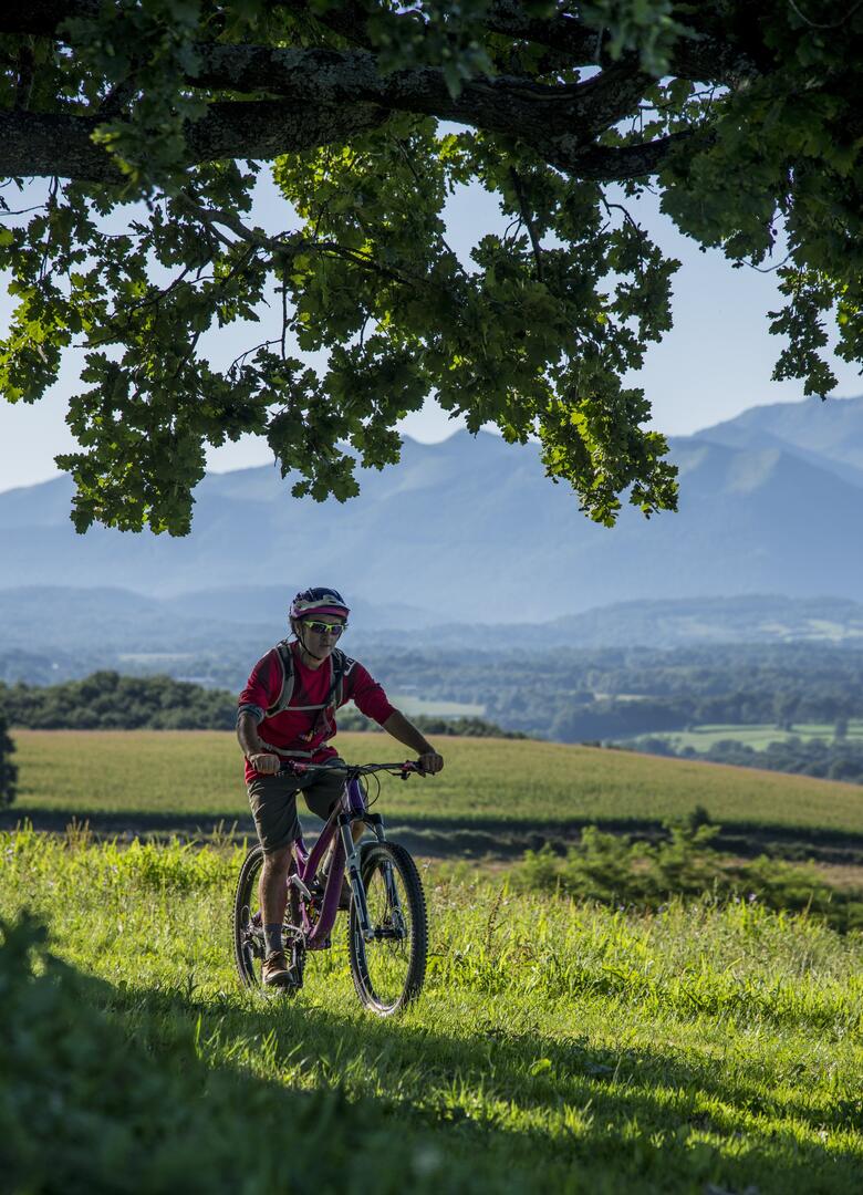 VTT II