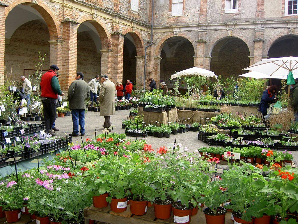 Varietas Florum