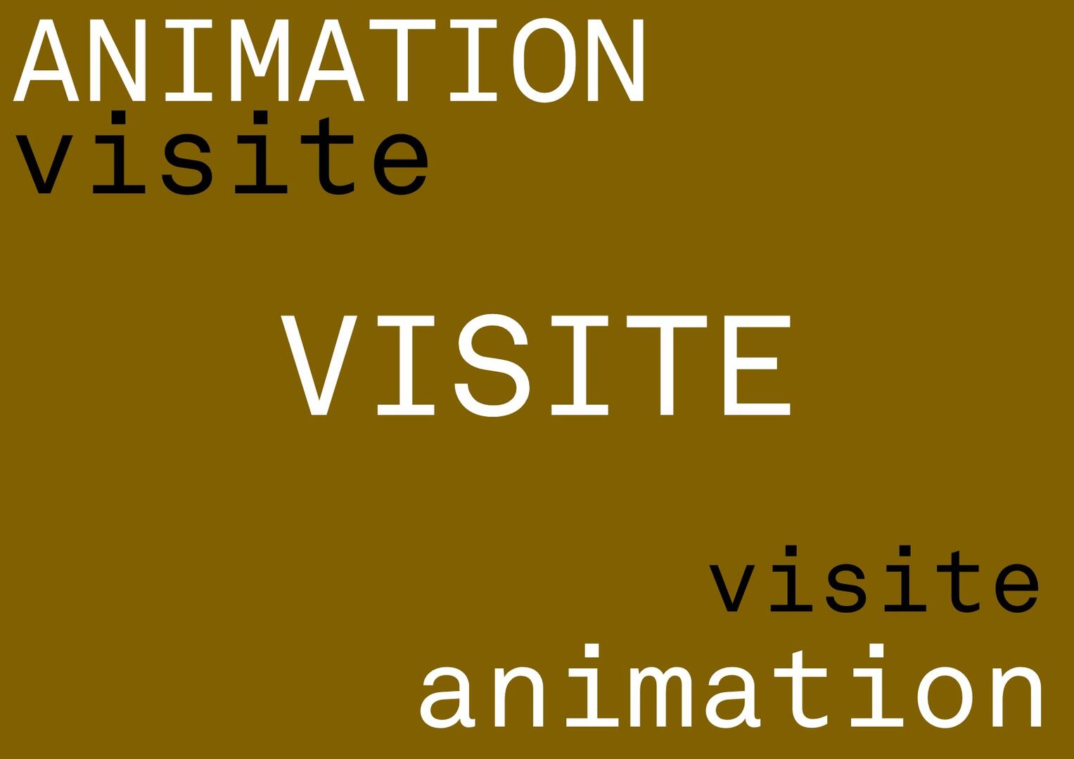 Visuel visite